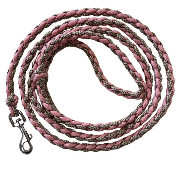 Paracord Leine Mali