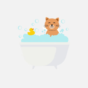Pflege & Hygiene