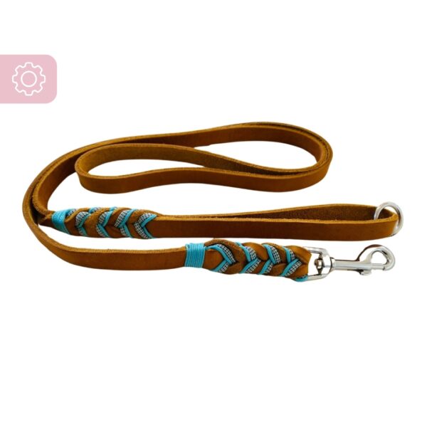 Individuelle Leine Leder