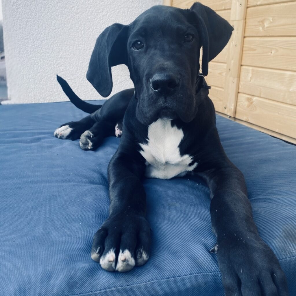 Startseite 2 Kopie von Kein Titel Instagram Post