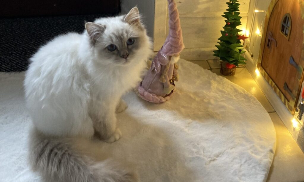 Startseite 1 cropped IMG 0585 scaled 1