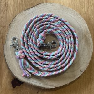 Paracord Hundeleine Fishtail Regenbogen
